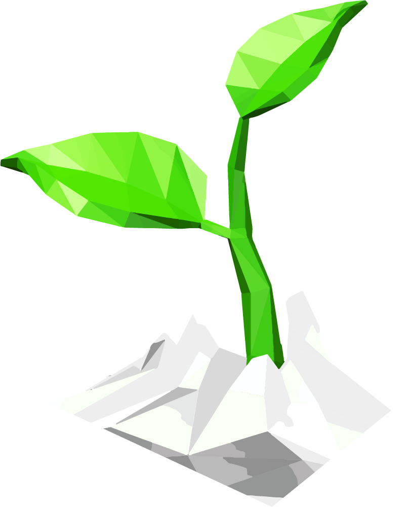 sprout
