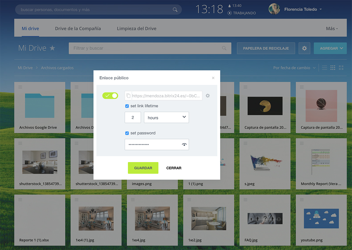 drive_public_link