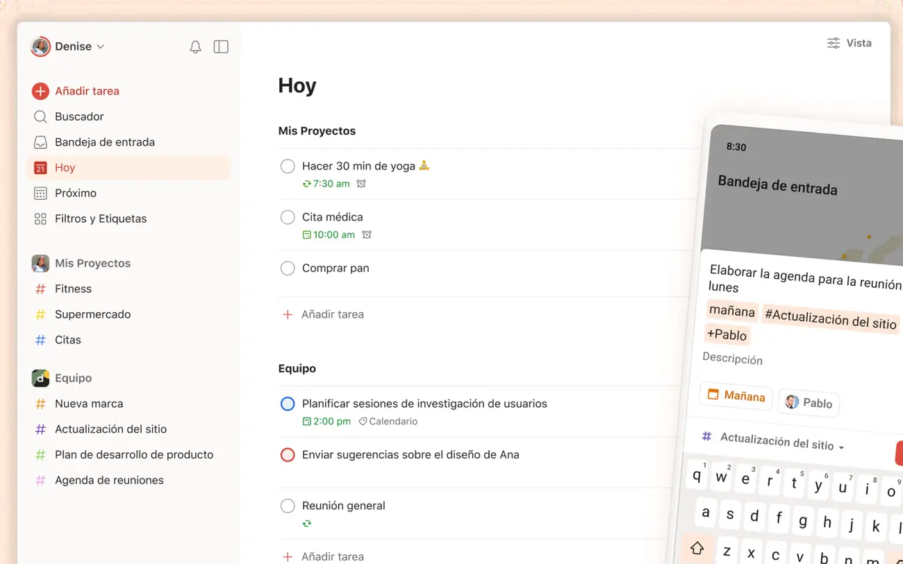 Todoist Todoist
